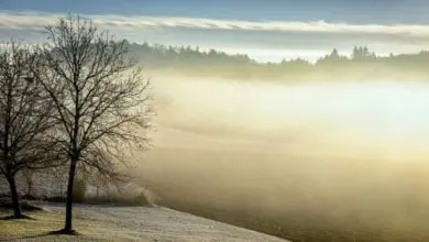 Winter Mortality halved in 2015/2016, reports ONS