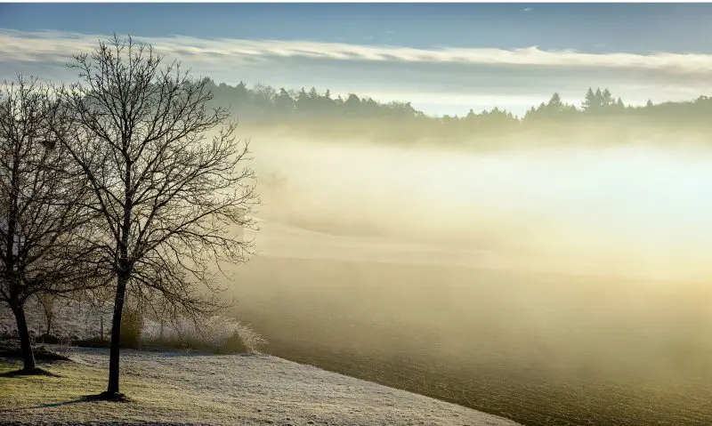 Winter Mortality halved in 2015/2016, reports ONS