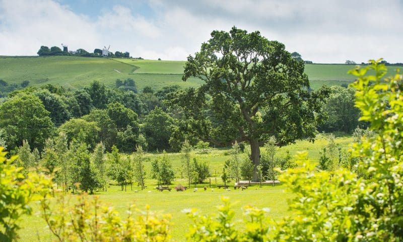 Clayton Wood Natural Burial Ground marks 10 years of countryside conservation