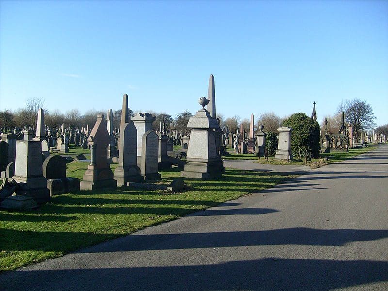 Liverpool city council discuss proposal for larger adults