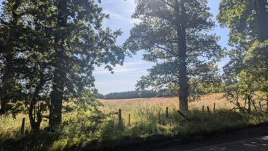 Moray Council to begin work on new Elgin cemetery this month