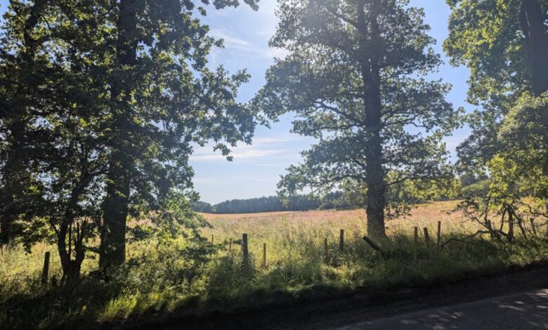 Moray Council to begin work on new Elgin cemetery this month