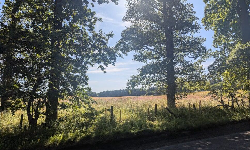 Moray Council to begin work on new Elgin cemetery this month