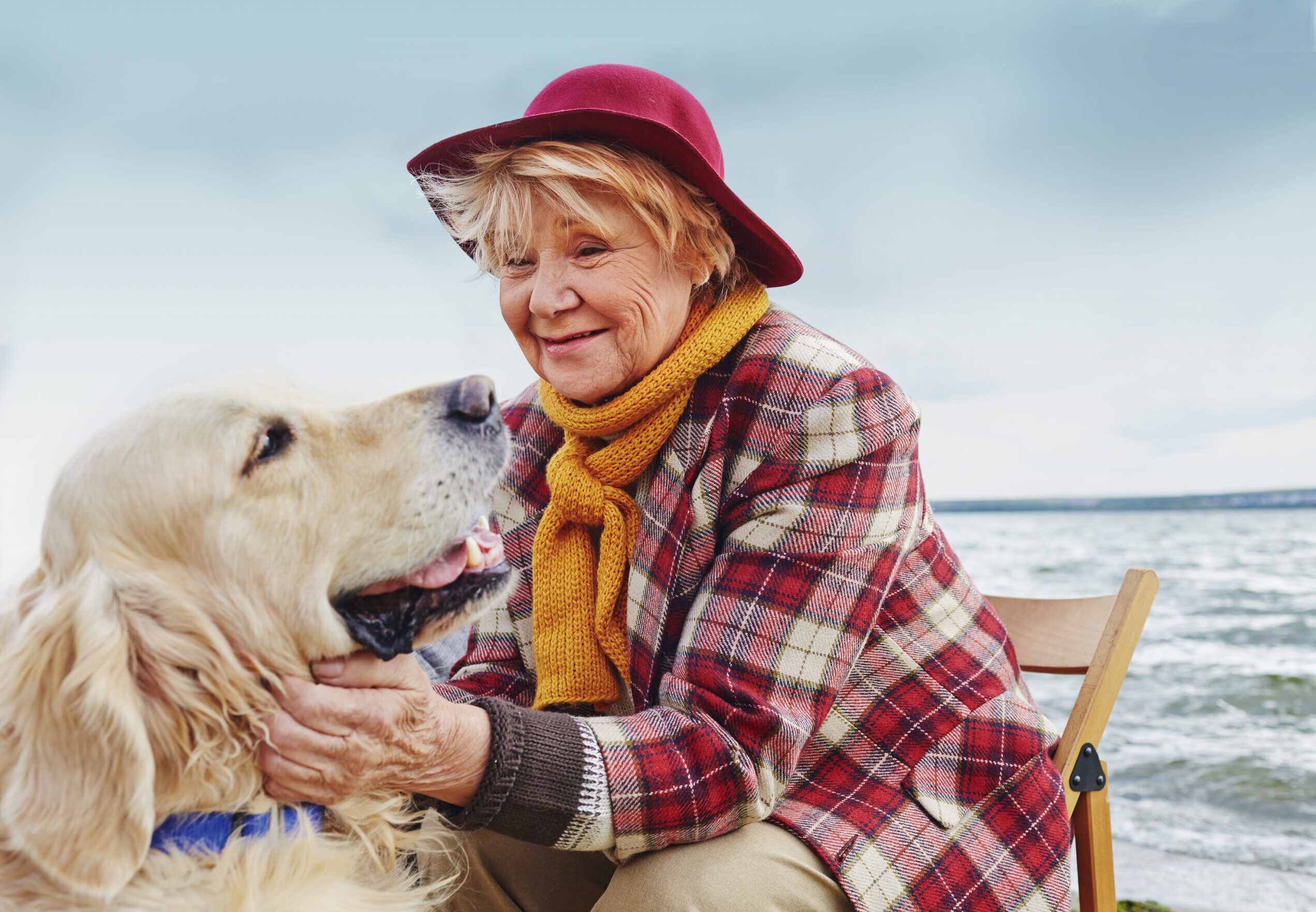 Dogs Trust: Leave a Love that Lives on