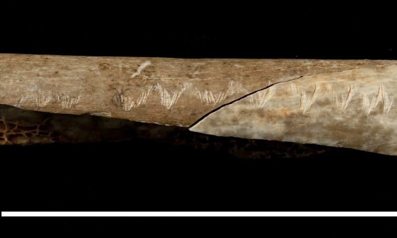 Evidence found for cannibalistic Palaeolithic burial rituals