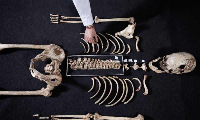 The face of the ‘Cheddar Man’