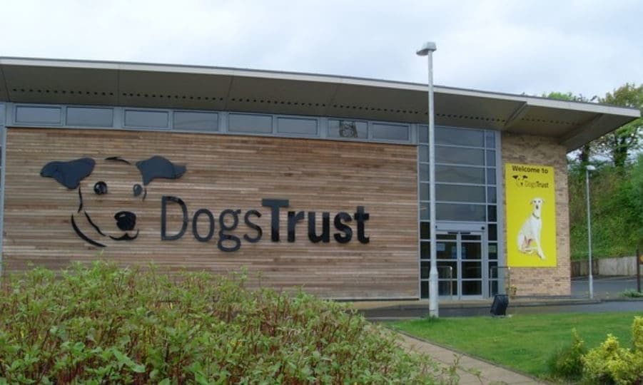 Dogs Trust scheme ensures dogs of the deceased are looked after