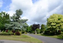 Falkirk Council eyes first long-term bereavement strategy