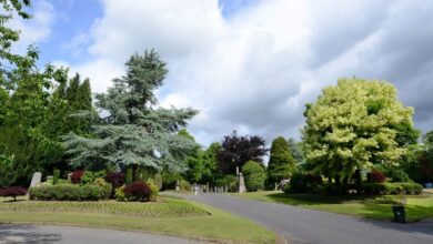 Falkirk Council eyes first long-term bereavement strategy