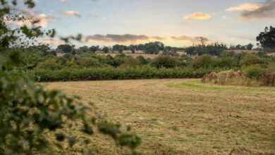 Great Glen Crematorium officially opens natural burial ground