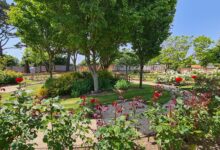 Weymouth Crematorium to regain privacy wall