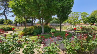 Weymouth Crematorium to regain privacy wall