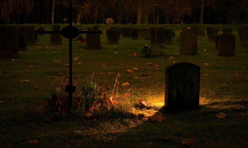 SAIF: Royal London report shows independent directors offer ‘best value’