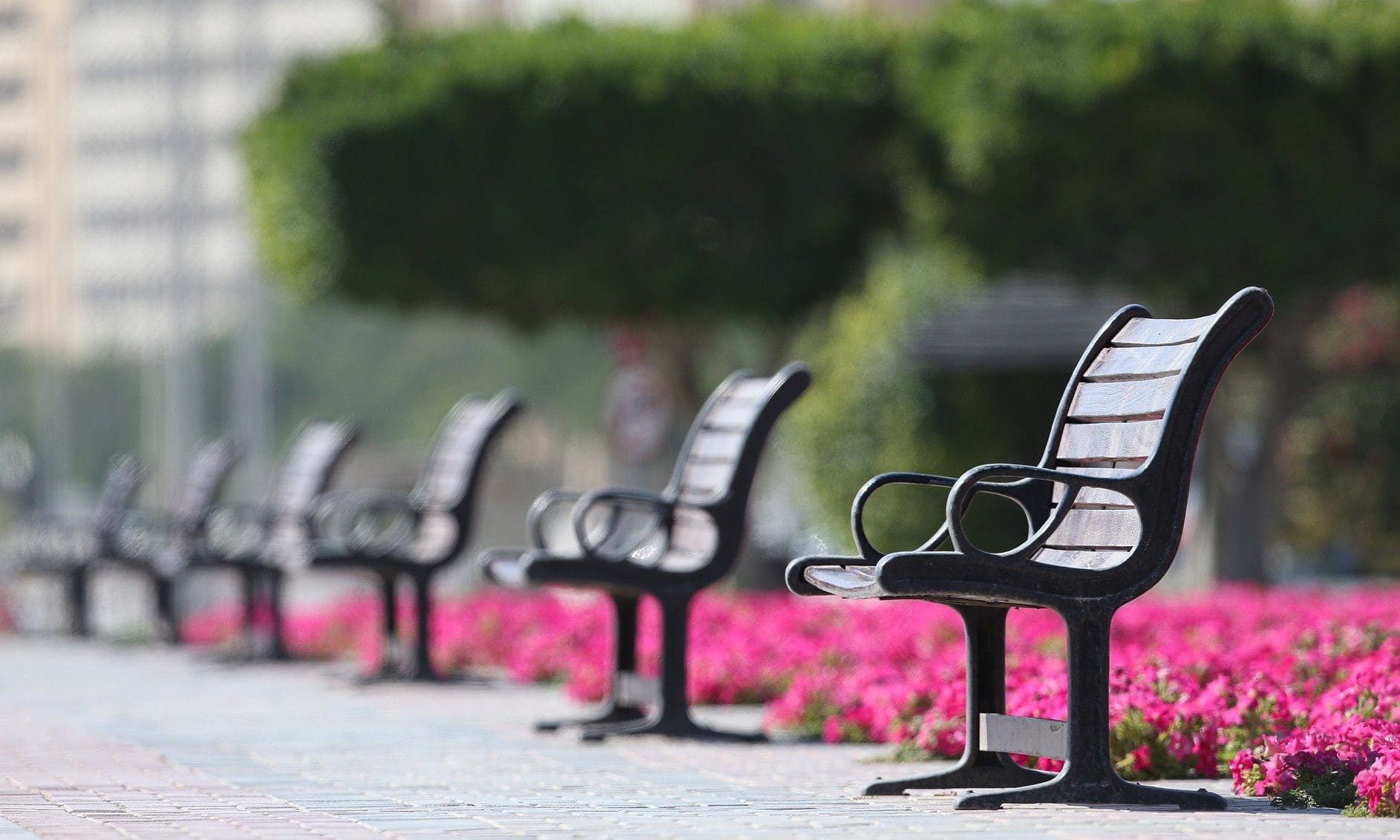 SAIF offers advice on remembering a loved one while social distancing