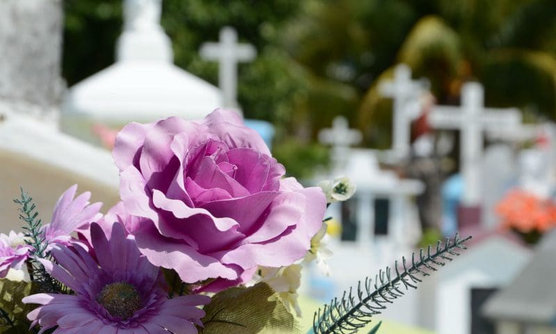 Majority favour cremation, says new poll