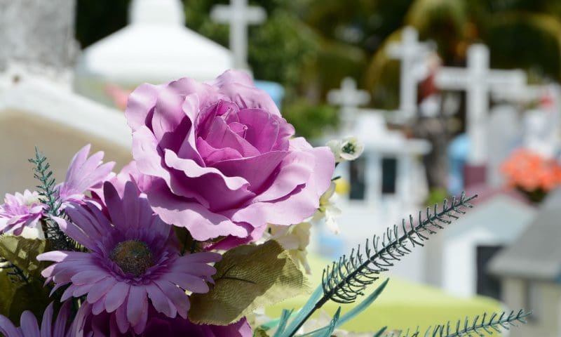 Dignity buys Co-op crematoriums in £43m deal