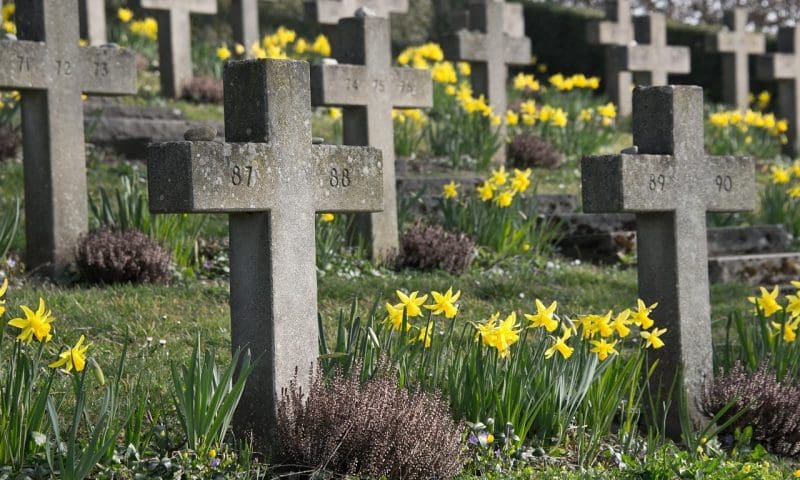 Paisley’s Hawkhead Cemetery to complete refurb by June