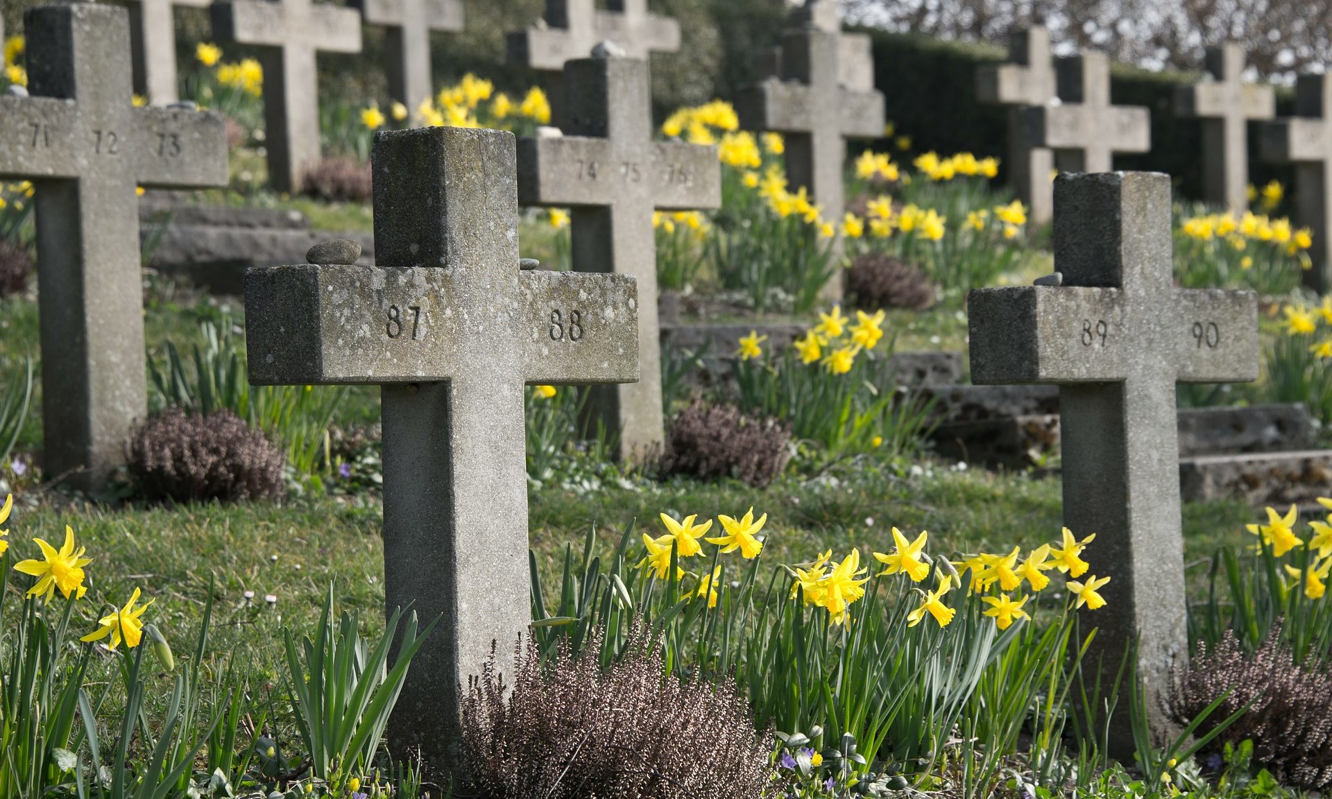CMA report identifies issues in the funeral service sector Funeral