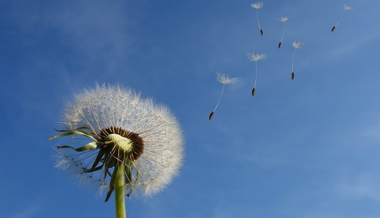 CMG donate £10k to The Lily Mae Foundation