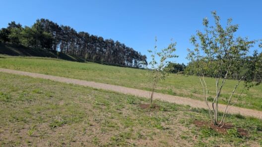 Moray Council’s new Elgin cemetery to open by early 2027