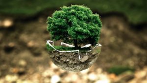 Eco-friendly Motoring: Driving Green
