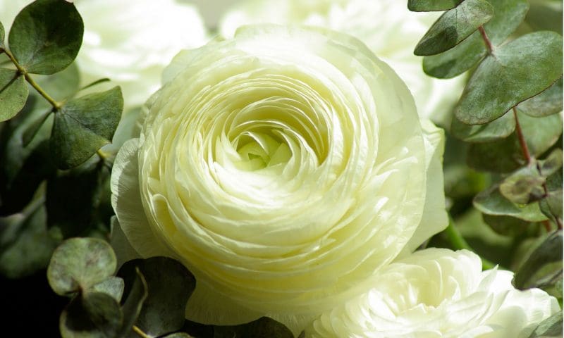 First crematorium gets the go ahead after inquiry