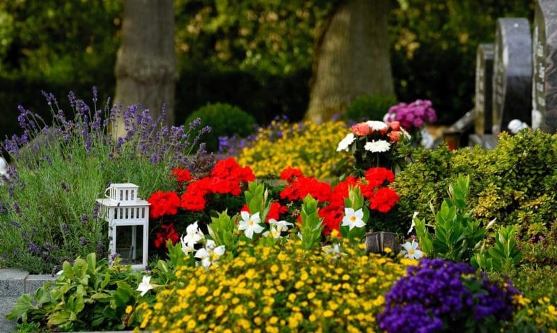 SAIF calls for regulation of profession