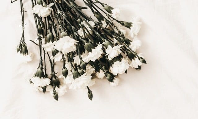 Dignity profits fall 8% amid rising Covid-19 costs