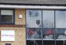 SFO charges two following Safe Hands investigation