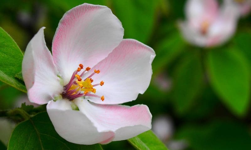 ‘Unethical’ practices at crematorium