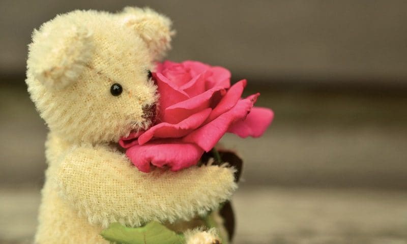 New cremation rules imposed in Mortonhall Crematorium aftermath