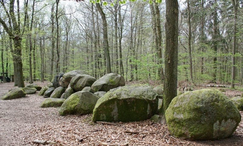 Natural burial microchip firm ASSETtrac celebrates 20 years