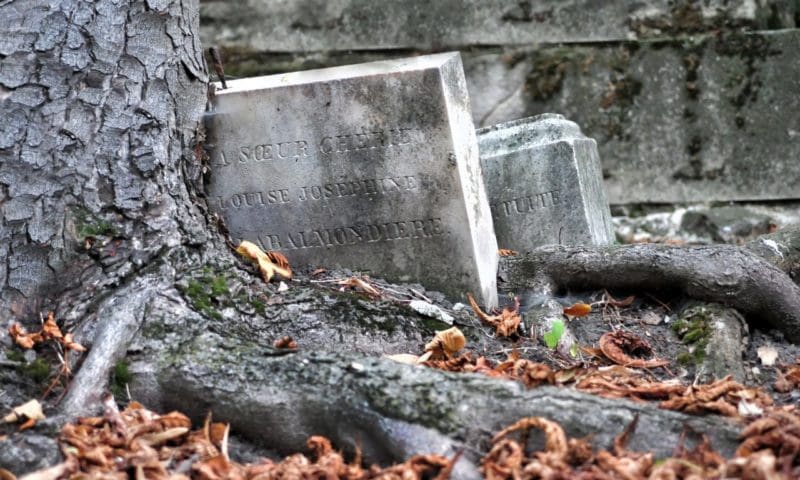 80 percent of people want to see funeral directors regulated