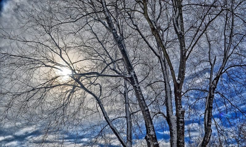 The People’s Awards name best natural burial grounds