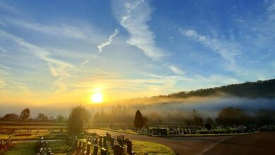 Sheffield City Council outlines plan to expand cemetery space